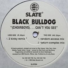 Black Bulldog - (Choirboys)...Can't You See - Slate