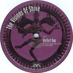 The Visions Of Shiva - Perfect Day - MFS