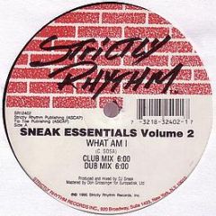 DJ Sneak - Sneak Essentials Volume 2 - Strictly Rhythm