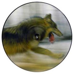 Dave Clarke - The Wolf (Picture Disc) - Skint