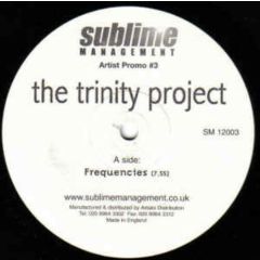 The Trinity Project - The Trinity Project - Mindgate - Sublime