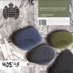 Big Bass Vs Michelle Narine - Big Bass Vs Michelle Narine - What You Do (Playing With Stones) - Ministry Of Sound