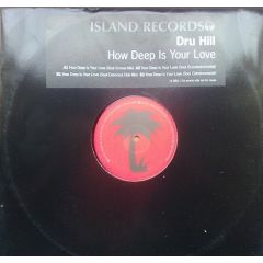 Dru Hill - Dru Hill - How Deep Is Your Love (Remixes) - Island
