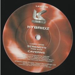 Hybridz - Hybridz - Strength - Lowkey