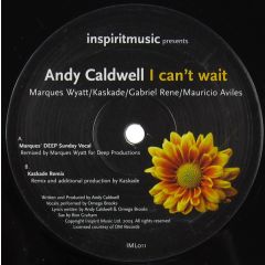 Andy Caldwell  - Andy Caldwell  - I Can't Wait (Remixes) - Inspirit Music