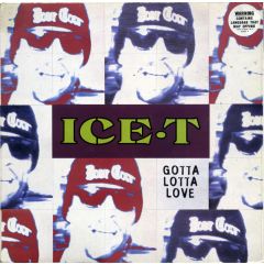 Ice T - Ice T - Gotta Lotta Love - Rhyme Syndicate