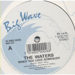 The Waters - The Waters - When You Love Somebody - Big Wave