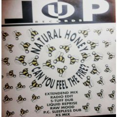 Natural Honey - Natural Honey - Can You Feel The Fire? - Lup Records
