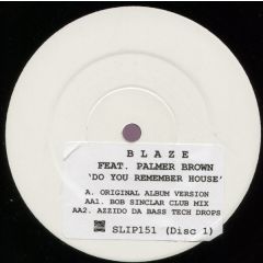 Blaze Feat. Palmer Brown - Blaze Feat. Palmer Brown - Do You Remember House? (Disc 1) - Slip 'N' Slide