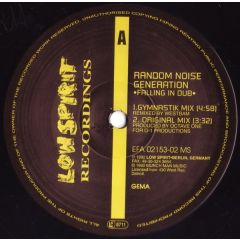 Random Noise Generation - Random Noise Generation - Falling In Dub - Low Spirit
