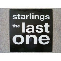 Starlings - Starlings - The Last One - Anxious