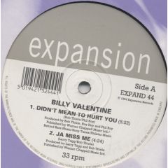 Billy Valentine - Billy Valentine - Didn't Mean To Hurt You EP - Expansion