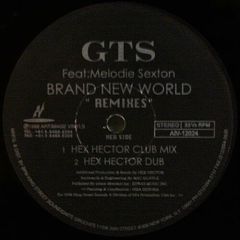 Gts Ft. Melodie Sexton - Gts Ft. Melodie Sexton - Brand New World (Remixes) - Armitage Vinyls