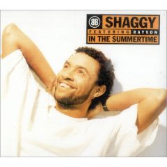 Shaggy Feat Rayvon - Shaggy Feat Rayvon - In The Summertime - Virgin