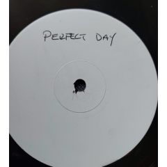 Summer Of Love - Summer Of Love - Perfect Day - Not On Label