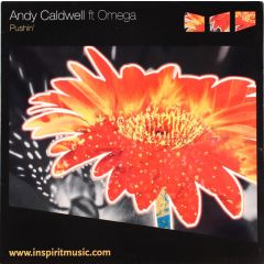 Andy Caldwell Ft Omega - Pushin - Inspirit Music