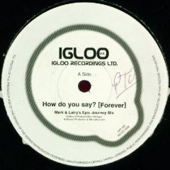 Vapour Trail - Vapour Trail - How Do You Say [Forever] - Igloo