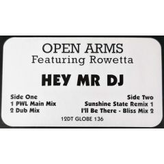 Open Arms - Open Arms - Hey Mr DJ - All Around The World