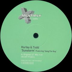 Hurley & Todd - Sunstorm - Multiply Records
