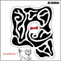 DJ Shalom - DJ Shalom - Yes Professor! - Slackness Records