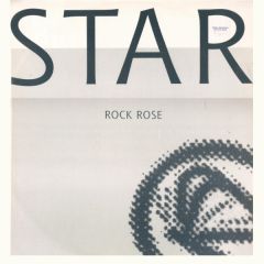 Star  - Star  - Rock Rose - Imago