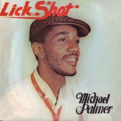 Michael Palmer - Michael Palmer - Lick Shot - Power House
