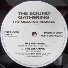 The Sound Gathering - The Sound Gathering - The Meaning - Remixes - Fat 'N Round
