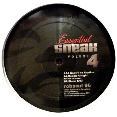 DJ Sneak - DJ Sneak - Essential Sneak Vol.4 - Robsoul Recordings