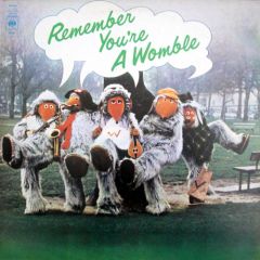 The Wombles - The Wombles - Remember You're A Womble - CBS