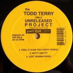 Todd Terry - Todd Terry - Unreleased Project Volume 5 - TNT