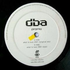 Dba & Howard Jones - Dba & Howard Jones - What Is Love 2001 - Dtox Records