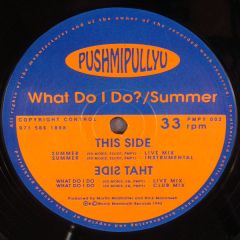 Pushmipullyu - Pushmipullyu - What Do I Do? / Summer - Woolly Mammoth Records