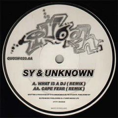 Sy & Unknown - Sy & Unknown - What Is A DJ / Cape Fear (Remixes) - Quosh Records