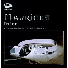 Maurice - Maurice - Feline - Distinctive