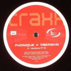 Phonique & Tigerskin - Phonique & Tigerskin - Gaydance - Brique Rouge Traxx