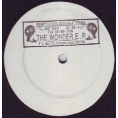 Unknown Artist - Unknown Artist - The Wonder EP - Perception