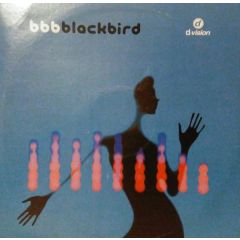 BBB - BBB - Blackbird - D Vision