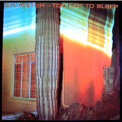 Sylvester - Sylvester - Too Hot To Sleep - Fantasy Honey Records