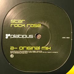 Star  - Star  - Rock Rose - Platipus