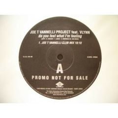 Joe T. Vannelli Project Feat. Vlynn - Joe T. Vannelli Project Feat. Vlynn - Do You Feel What I'm Feeling - Dream Beat
