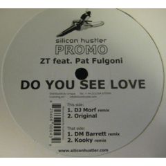 Zt Ft Pat Fulgoni - Zt Ft Pat Fulgoni - Do You See Love - Silicon Hustler