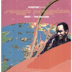 Positive Gang - Positive Gang - Sweet Freedom (Part 2 The Return) - PWL International
