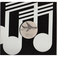 The Fascination - The Fascination - Serious / Flight Time - Play House Records