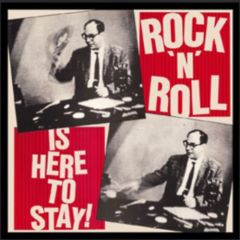 Various Artists - Various Artists - Rock 'N' Roll Is Here To Stay - Ace