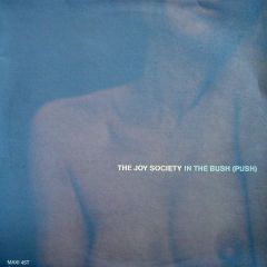 The Joy Society - The Joy Society - In The Bush (Push) - Barclay