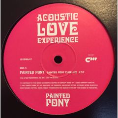 Acoustic Love Experience - Acoustic Love Experience - Painted Pony - Concept