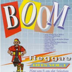 Various Artists - Various Artists - Boom Reggae Hits Vol. 1 - Vp Records