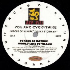 Dru Hill - Dru Hill - You Are Everything - Forces Of Nature